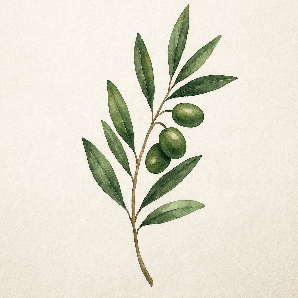 Tier 1: The Olive Branch Membership